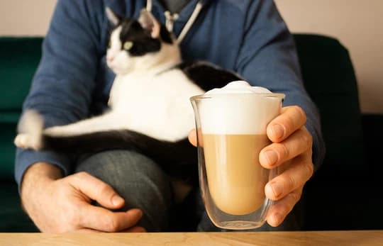 Jaką pojemność powinna mieć filiżanka do kawy w zależności od rodzaju zaparzonego napoju?