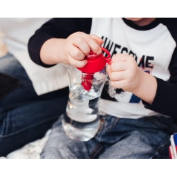 Butelka filtrująca DAFI 0,7L +2 (makowa) - miniatura 2