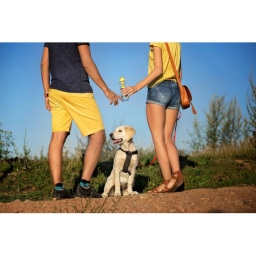 Butelka filtrująca DAFI 0,3L +3 filtry (czerwona) - miniatura 11