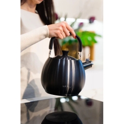 Czajnik z gwizdkiem Vialli Design BOLLA 2,5L (grafit matowy) 28654 - miniatura 5