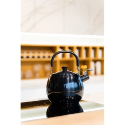 Czajnik z gwizdkiem Vialli Design BOLLA 2,5L (grafit polerowany) 28647 - miniatura 2