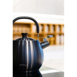Czajnik z gwizdkiem Vialli Design BOLLA 2,5L (grafit matowy) 28654 - miniatura 3