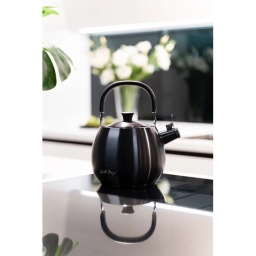 Czajnik z gwizdkiem Vialli Design BOLLA 2,5L (grafit matowy) 28654 - miniatura 9