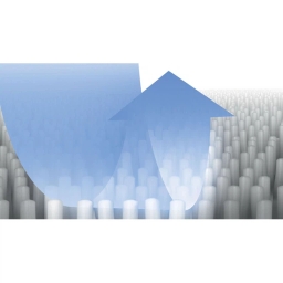 Środek szampon do czyszczenia dywanów Bosch BBZWDSET 312086 - miniatura 3