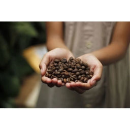 Kawa ziarnista premium Davidoff Cafe Crema Elegant 500g - miniatura 2