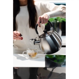 Czajnik z gwizdkiem Vialli Design BOLLA 2,5L (stal matowa) 28630 - miniatura 5