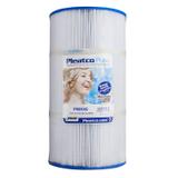 Filtr Pleatco PWK40