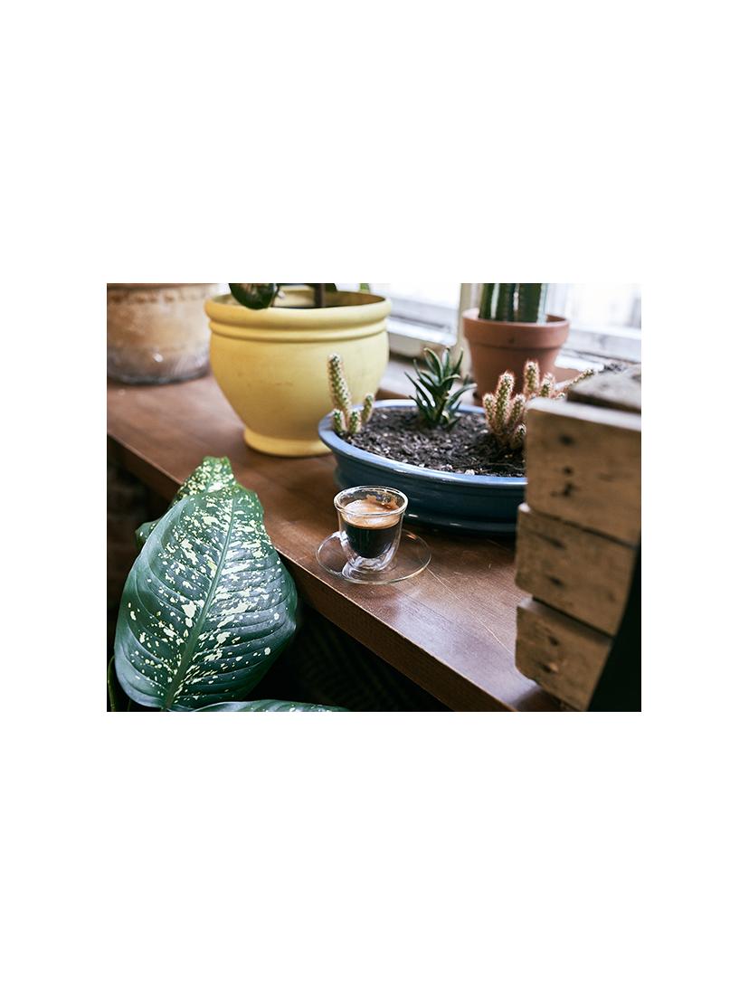Kawa ziarnista Tchibo Barista Espresso Dark 3kg + szklanka termiczna do espresso ze spodkiem FilterLogic CFL-657 w zestawie